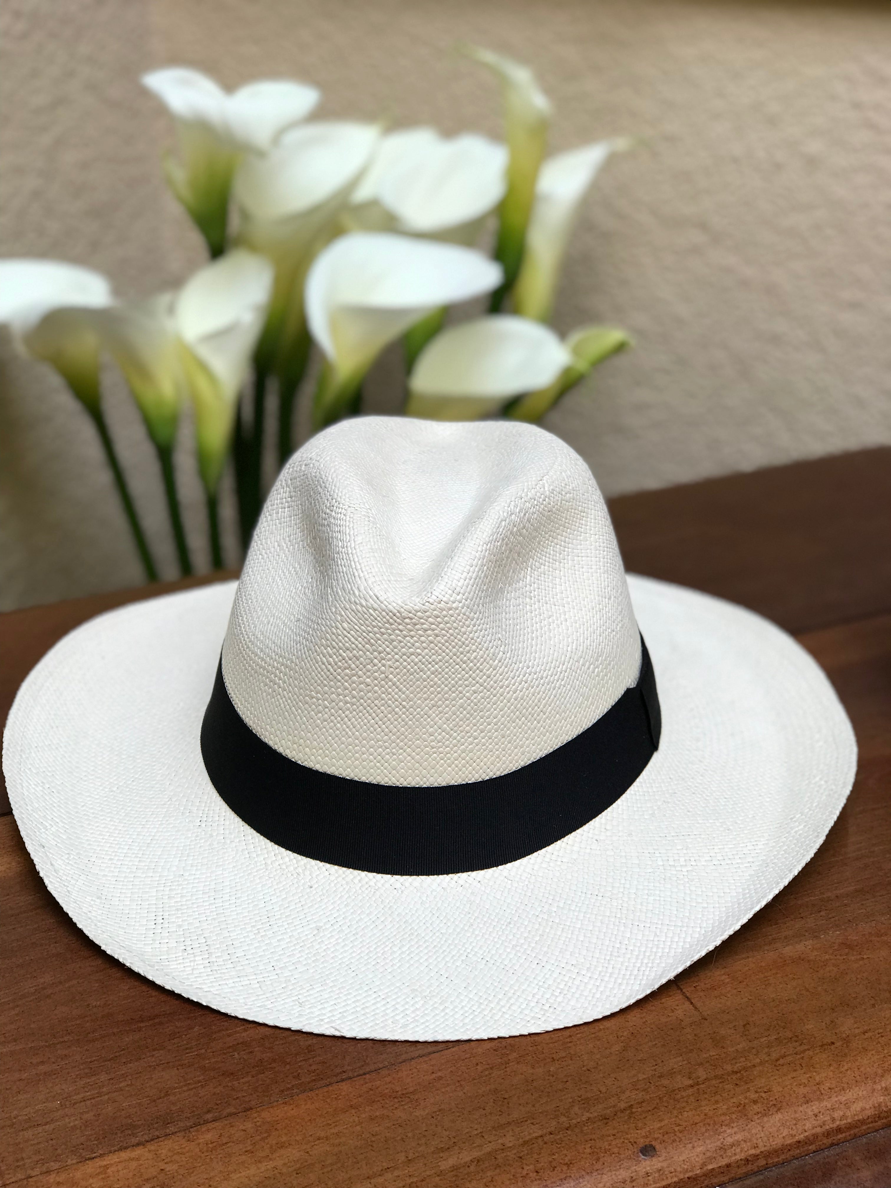 Panamà Hat cinta negra
