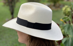 Abrir la imagen en la presentación de diapositivas, Panama Hat
